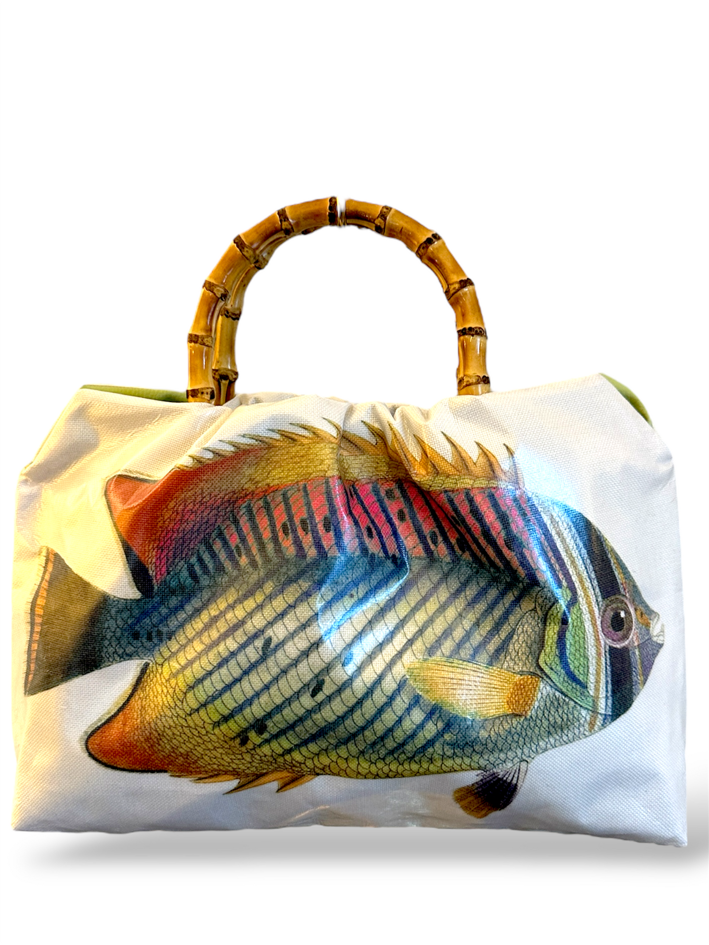 The Reef Roamer